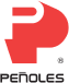 Icon companies